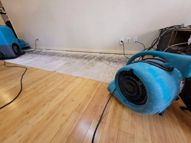 Reliable Basement Flood Cleanup contractor in Roseville, MN by Hirex Water Damage