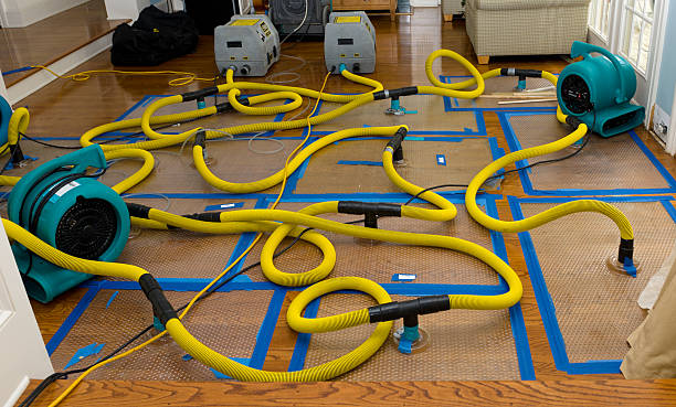 Professional Basement Flood Cleanup technician working in Roseville, MN